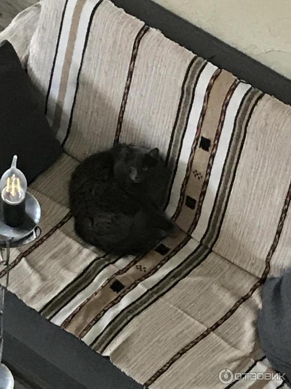 Мини-отель Дача Белый берег (Россия, Суздаль) фото