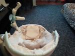 Детские электронные качели Graco Sweetpeace фото