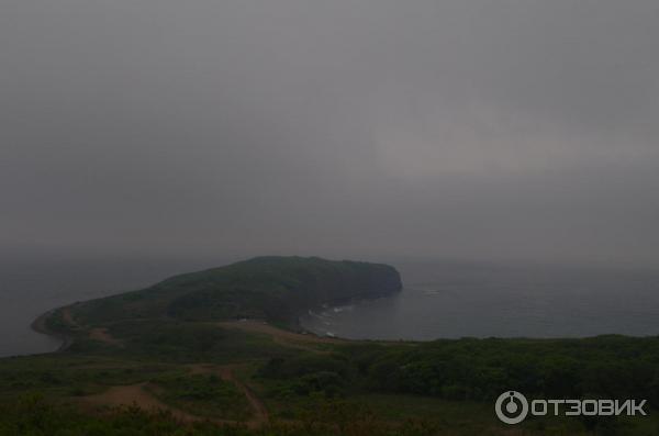 Мыс Вятлина (Россия, остров Русский) фото