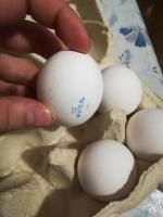 Яйца куриные Yaratelle фото