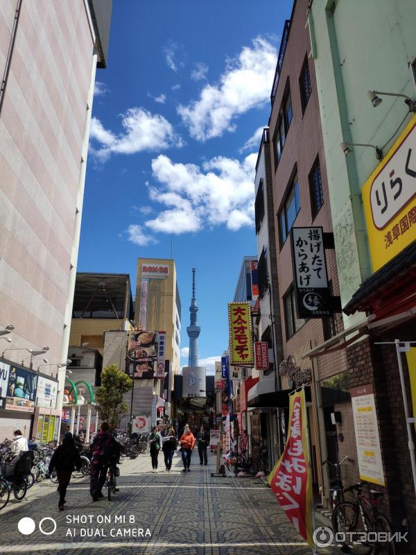 Экскурсия на телебашню Tokyo Sky Tree (Япония, Токио) фото