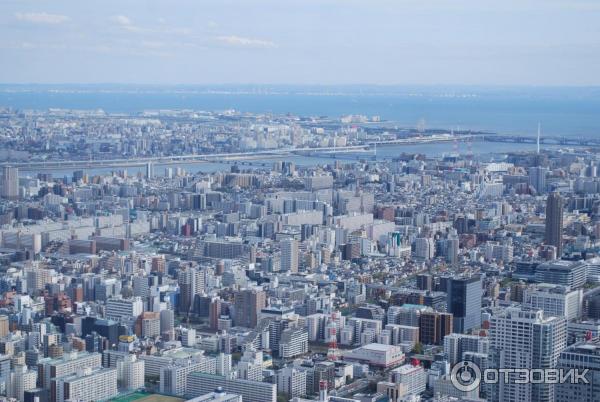 Экскурсия на телебашню Tokyo Sky Tree (Япония, Токио) фото