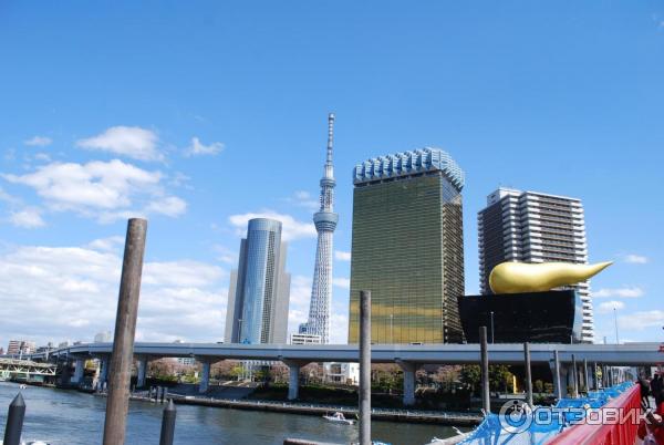 Экскурсия на телебашню Tokyo Sky Tree (Япония, Токио) фото