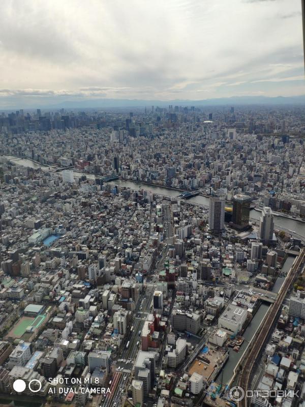 Экскурсия на телебашню Tokyo Sky Tree (Япония, Токио) фото