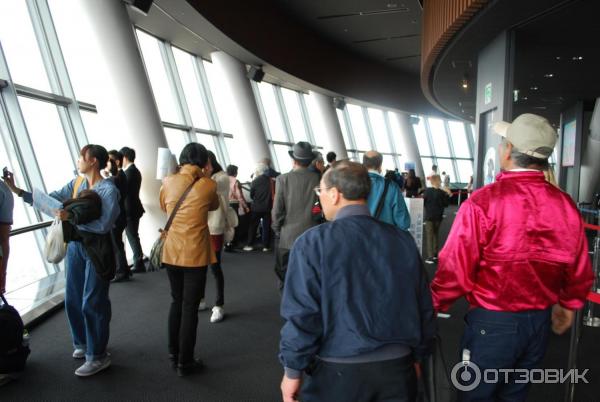 Экскурсия на телебашню Tokyo Sky Tree (Япония, Токио) фото