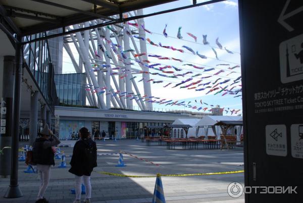 Экскурсия на телебашню Tokyo Sky Tree (Япония, Токио) фото