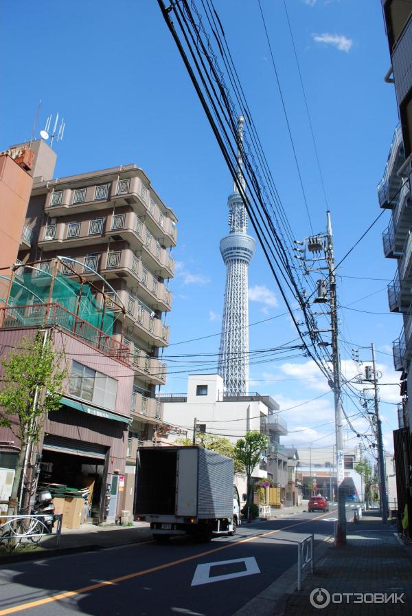 Экскурсия на телебашню Tokyo Sky Tree (Япония, Токио) фото