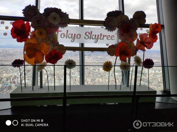 Экскурсия на телебашню Tokyo Sky Tree (Япония, Токио) фото