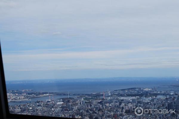 Экскурсия на телебашню Tokyo Sky Tree (Япония, Токио) фото