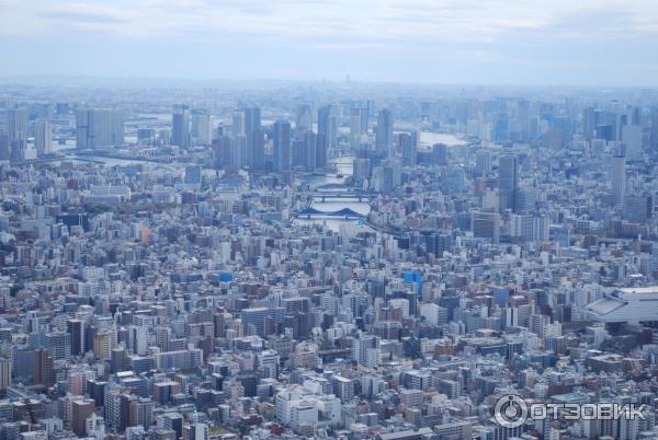 Экскурсия на телебашню Tokyo Sky Tree (Япония, Токио) фото