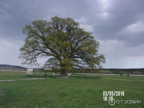 Белая скала / Ак-Кая (Крым) фото