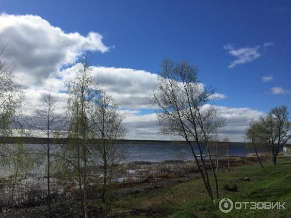 Дворец Понизовкиных (Россия, Ярославская область) фото