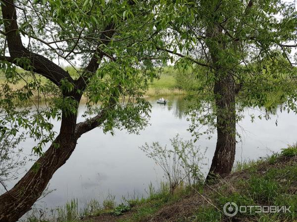 Музей-заповедник Куликово поле фото