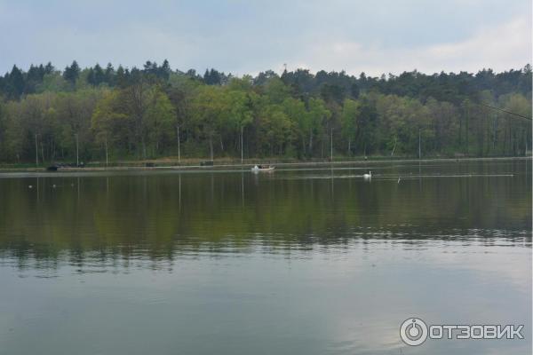 Озеро Тихое (Россия, Светлогорск) фото