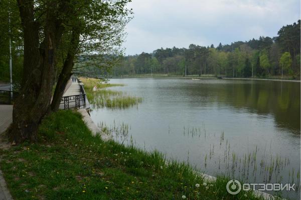 Озеро Тихое (Россия, Светлогорск) фото