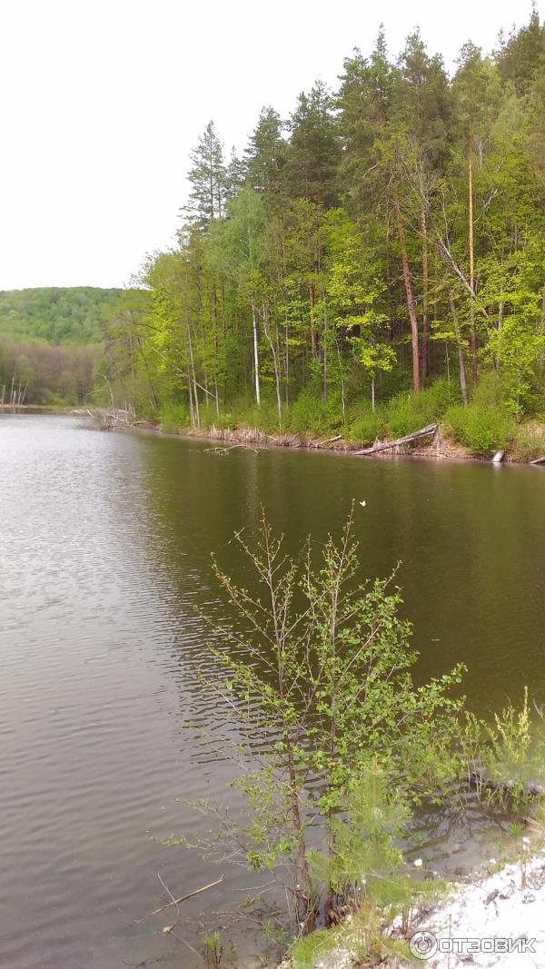База отдыха Михайлова слобода (Россия, Большой Вьяс) фото