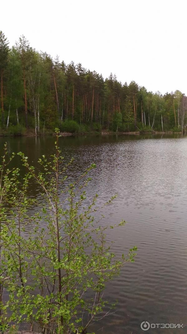 База отдыха Михайлова слобода (Россия, Большой Вьяс) фото