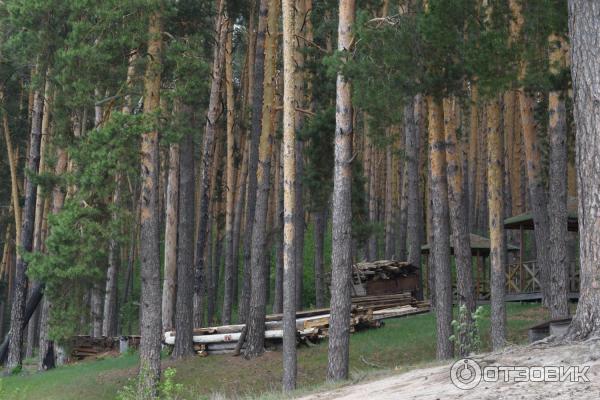 База отдыха Михайлова слобода (Россия, Большой Вьяс) фото