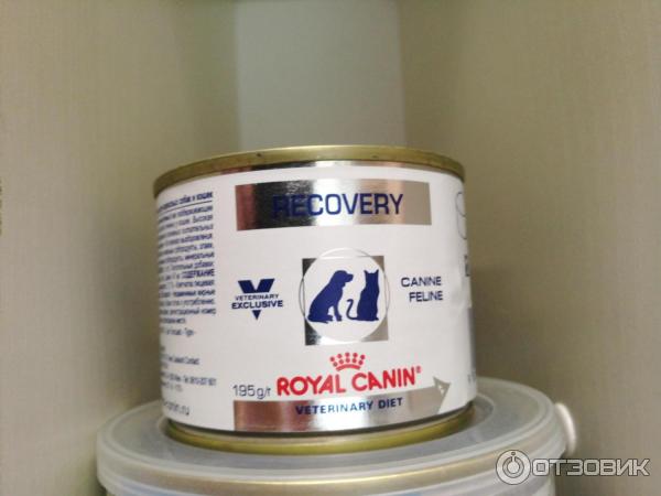 Корм для кошек и собак Royal Canin Recovery фото