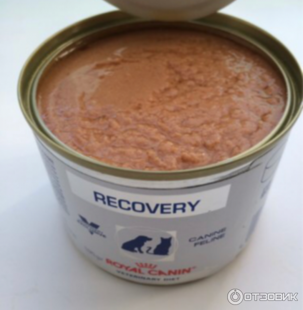 Корм для кошек и собак Royal Canin Recovery фото