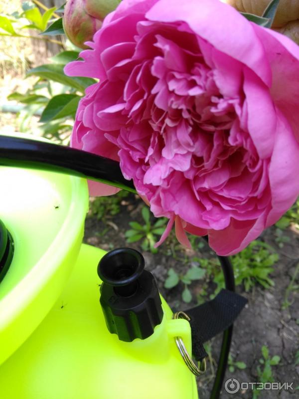 клапан для сброса давления