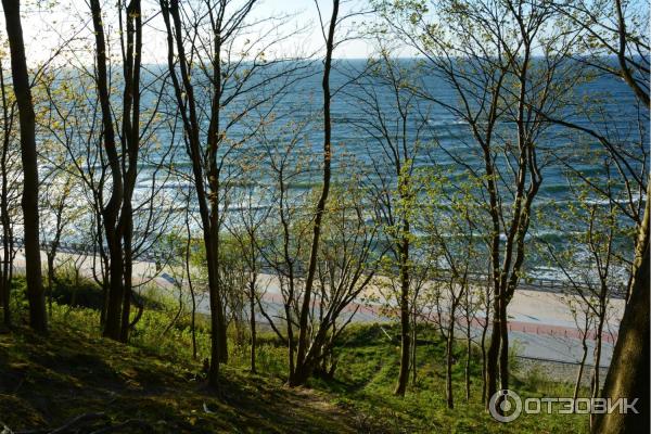 Достопримечательности г. Светлогорск (Россия, Калининградская область) фото