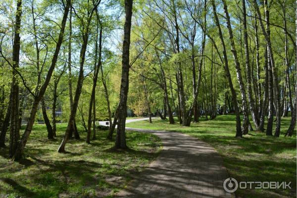 Достопримечательности г. Светлогорск (Россия, Калининградская область) фото