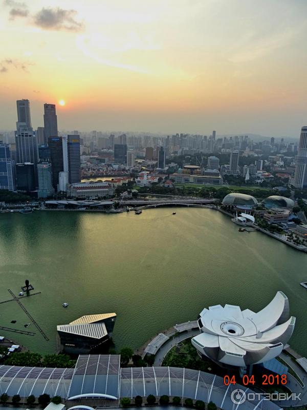 Смотровая площадка отеля Marina Bay Sands Skypark (Сингапур)