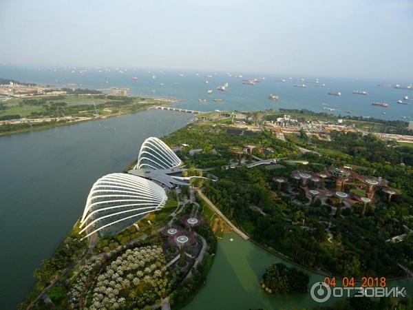 Смотровая площадка отеля Marina Bay Sands Skypark (Сингапур)