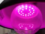 Светодиодная лампа Uniel LED для растений фото