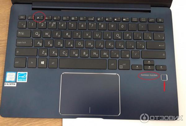 Ноутбук ASUS ZenBook UX331UA-EG013T фото