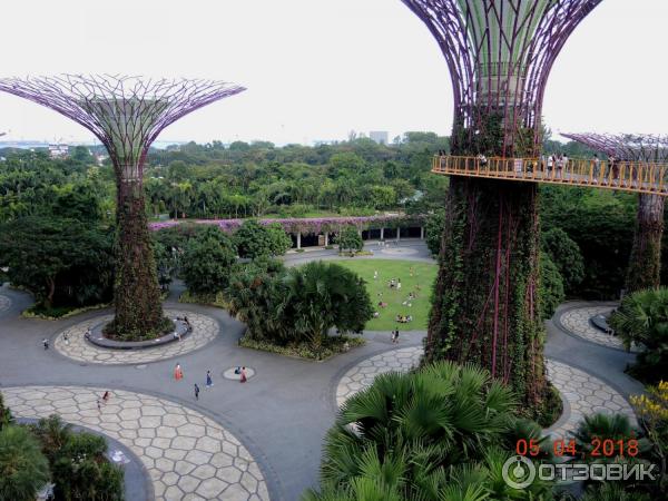 Supertree Grove и подвесная дорожка OCBC SKYWAY (Сингапур)