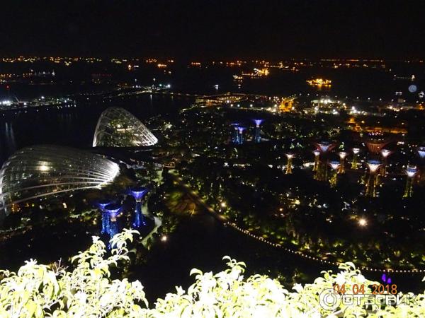 Supertree Grove и подвесная дорожка OCBC SKYWAY (Сингапур)