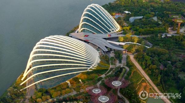 Supertree Grove и подвесная дорожка OCBC SKYWAY (Сингапур)