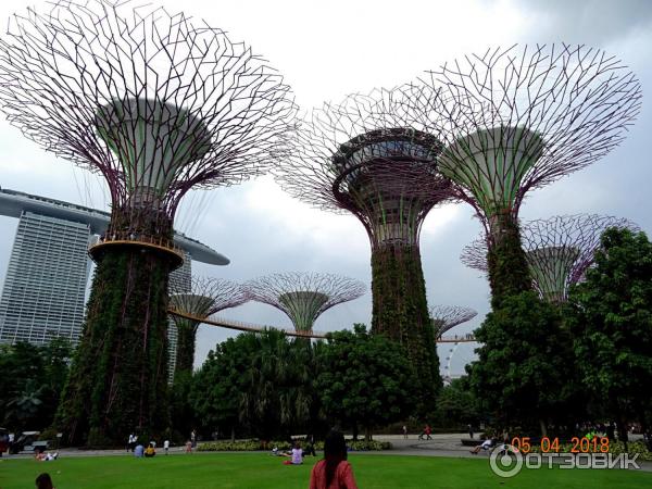 Supertree Grove и подвесная дорожка OCBC SKYWAY (Сингапур)