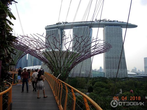 Supertree Grove и подвесная дорожка OCBC SKYWAY (Сингапур)