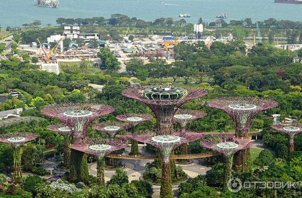 Supertree Grove и подвесная дорожка OCBC SKYWAY (Сингапур)