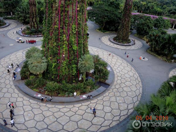 Supertree Grove и подвесная дорожка OCBC SKYWAY (Сингапур)