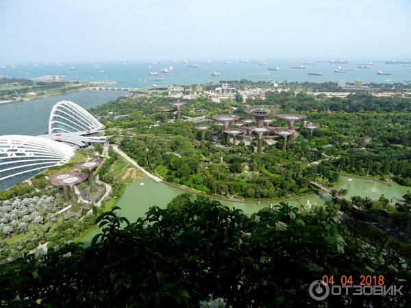 Supertree Grove и подвесная дорожка OCBC SKYWAY (Сингапур)