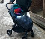 Прогулочная коляска Baby Design Smart фото