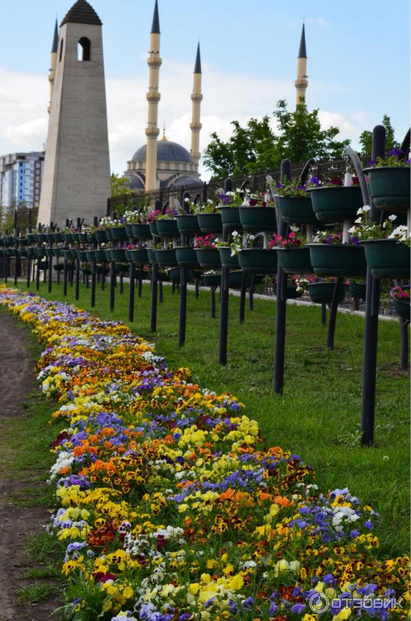 Экскурсия по Чеченской республике (Россия) фото