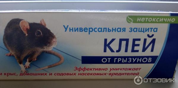 Клей от грызунов и насекомых Чистый дом фото