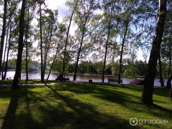 Рыболовный комплекс Золотой Сазан (Россия, Московская область) фото