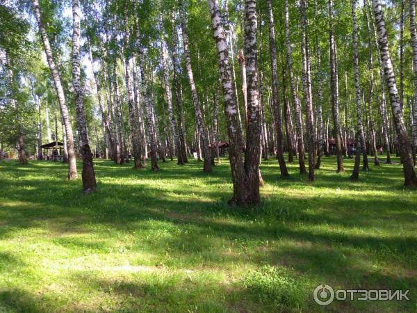 Рыболовный комплекс Золотой Сазан (Россия, Московская область) фото