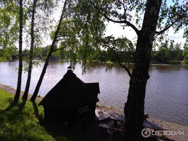 Рыболовный комплекс Золотой Сазан (Россия, Московская область) фото