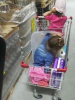 Сеть магазинов "Светофор" фото