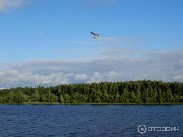 Круиз на теплоходе Капитан Пушкарев (Россия, Ярославль) фото