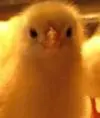 оляЮ