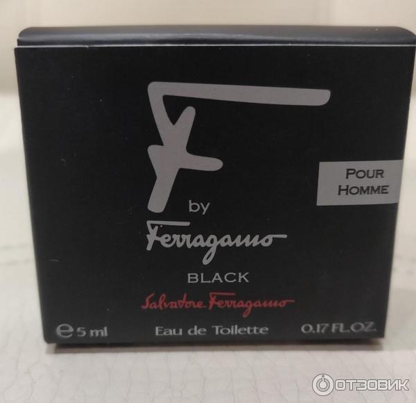 Мужская туалетная вода Salvatore Ferragamo F by Ferragamo Pour Homme фото