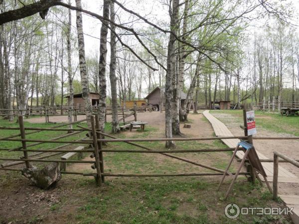 Музей Витославлицы (Россия, Новгородская область) фото